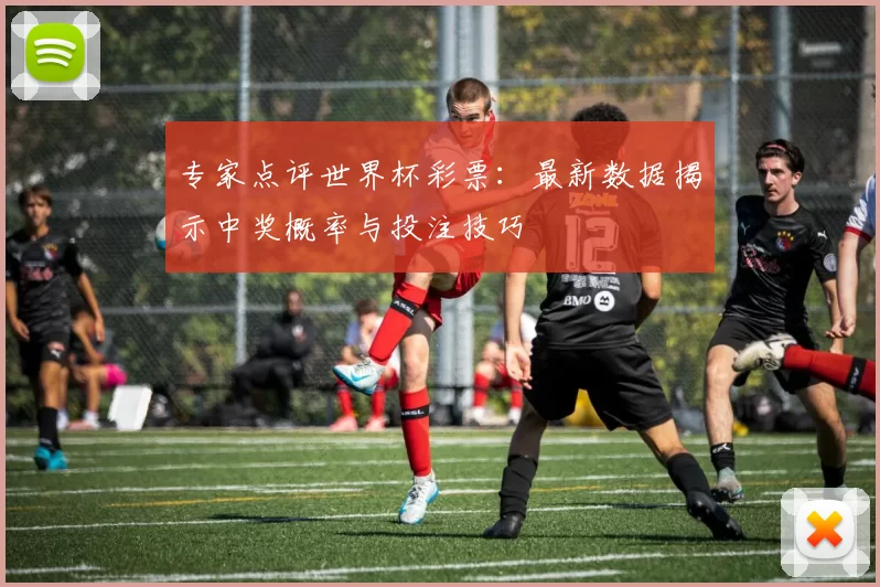 专家点评世界杯彩票：最新数据揭示中奖概率与投注技巧