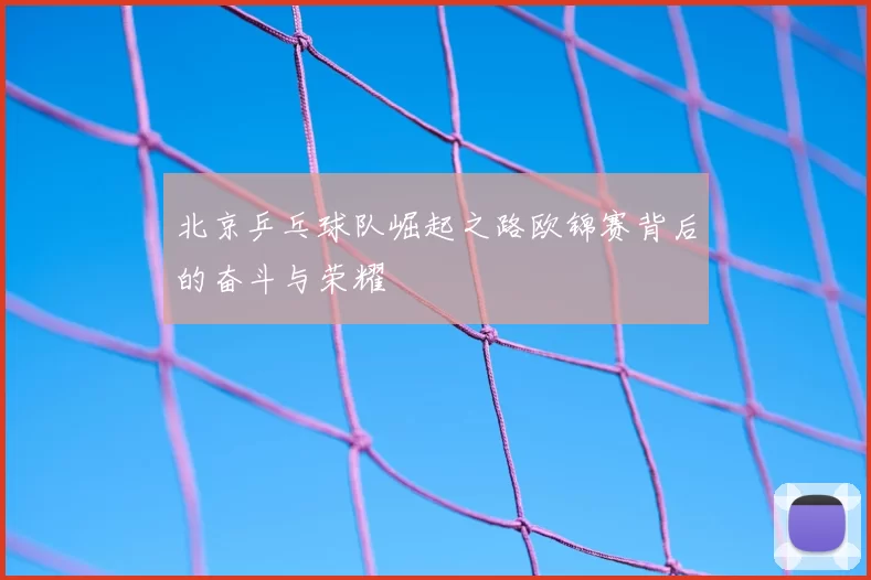 北京乒乓球队崛起之路欧锦赛背后的奋斗与荣耀