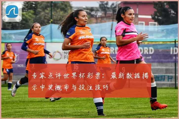 专家点评世界杯彩票:最新数据揭示中奖概率与投注技巧