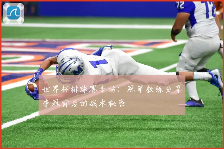 世界杯排球赛专访：冠军教练分享夺冠背后的战术秘密
