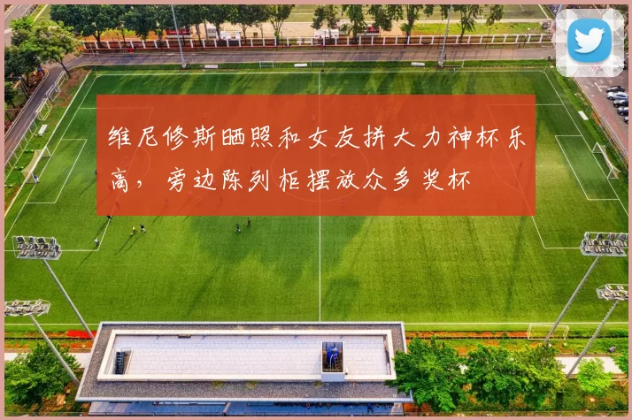 维尼修斯晒照和女友拼大力神杯乐高，旁边陈列柜摆放众多奖杯