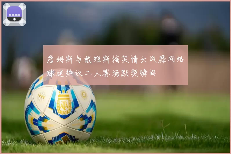 詹姆斯与戴维斯搞笑情头风靡网络球迷热议二人赛场默契瞬间
