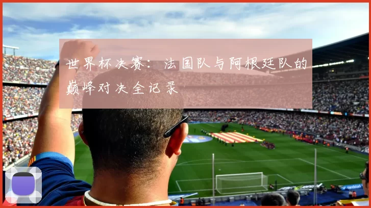 世界杯决赛:法国队与阿根廷队的巅峰对决全记录