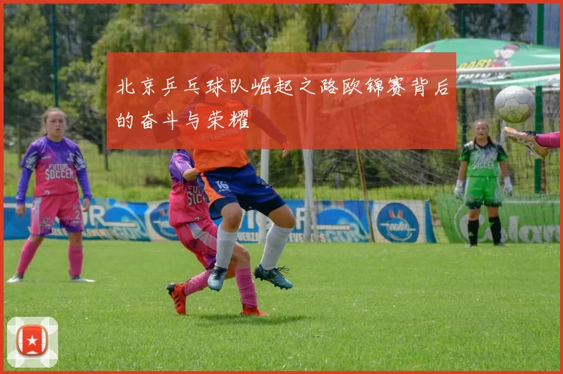 北京乒乓球队崛起之路欧锦赛背后的奋斗与荣耀