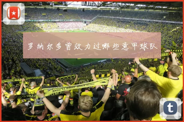 罗纳尔多曾效力过哪些意甲球队