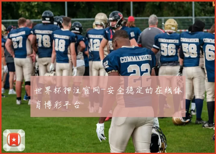 世界杯押注官网-安全稳定的在线体育博彩平台