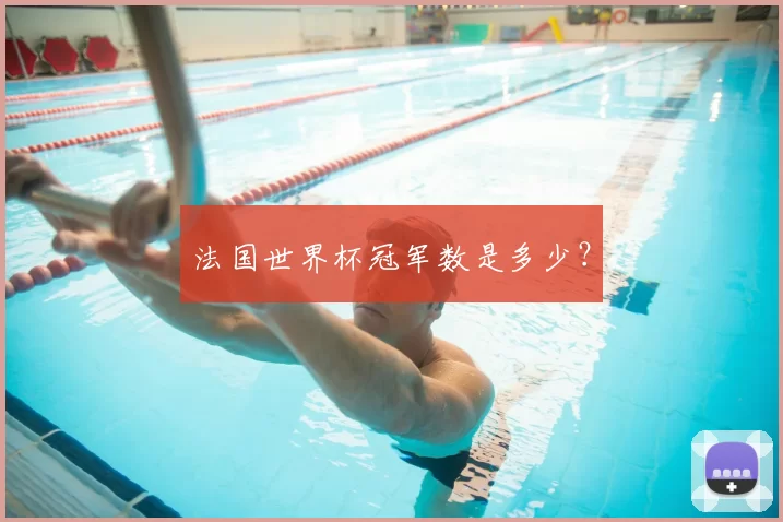 法国世界杯冠军数是多少?