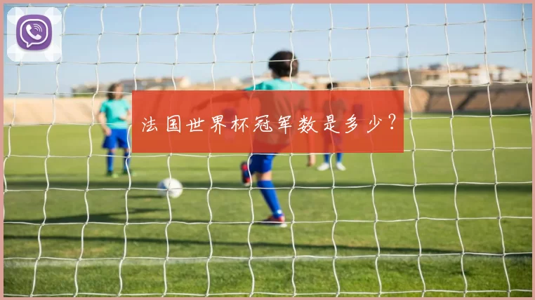 法国世界杯冠军数是多少?