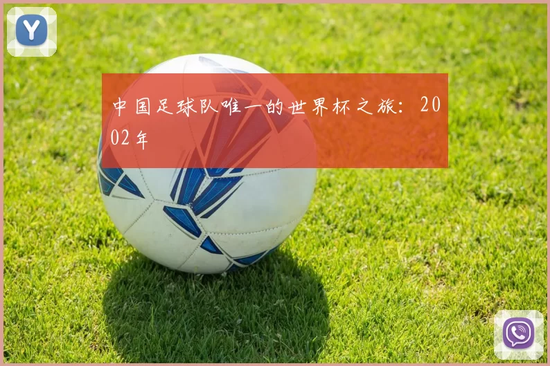 中国足球队唯一的世界杯之旅:2002年